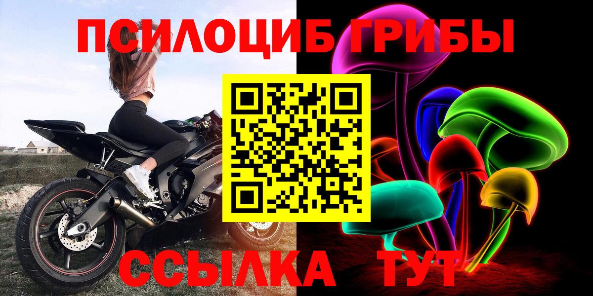 Галлюциногенные грибы Psilocybe Красногорск