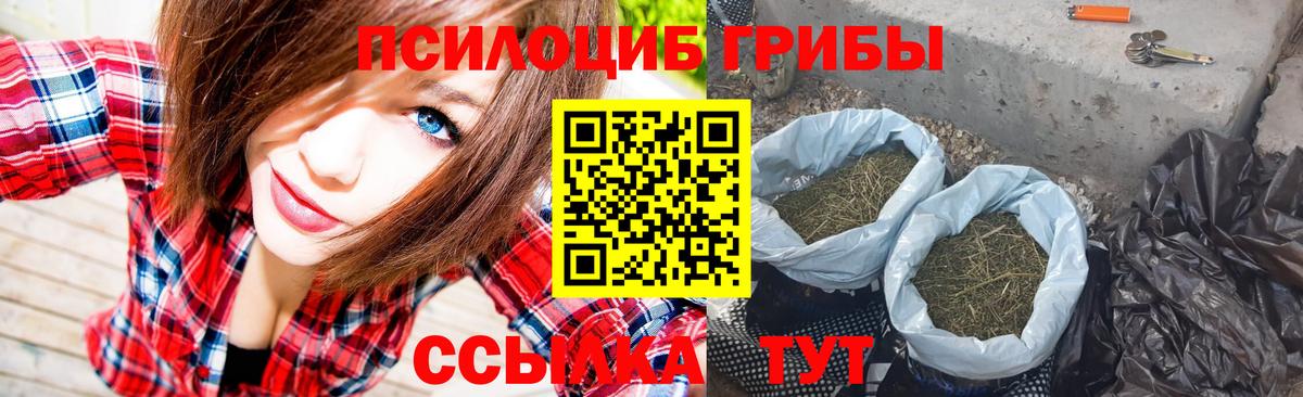 Галлюциногенные грибы Psilocybe  Галлюциногенные грибы Magic Shrooms  цена   Красногорск  Вход с VPN 